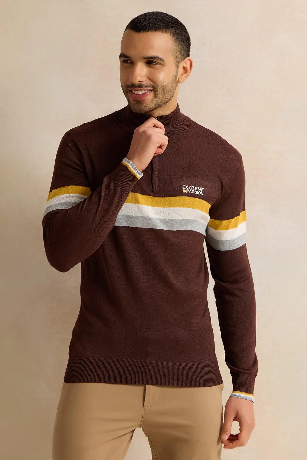 Men Brown Striped Sweater