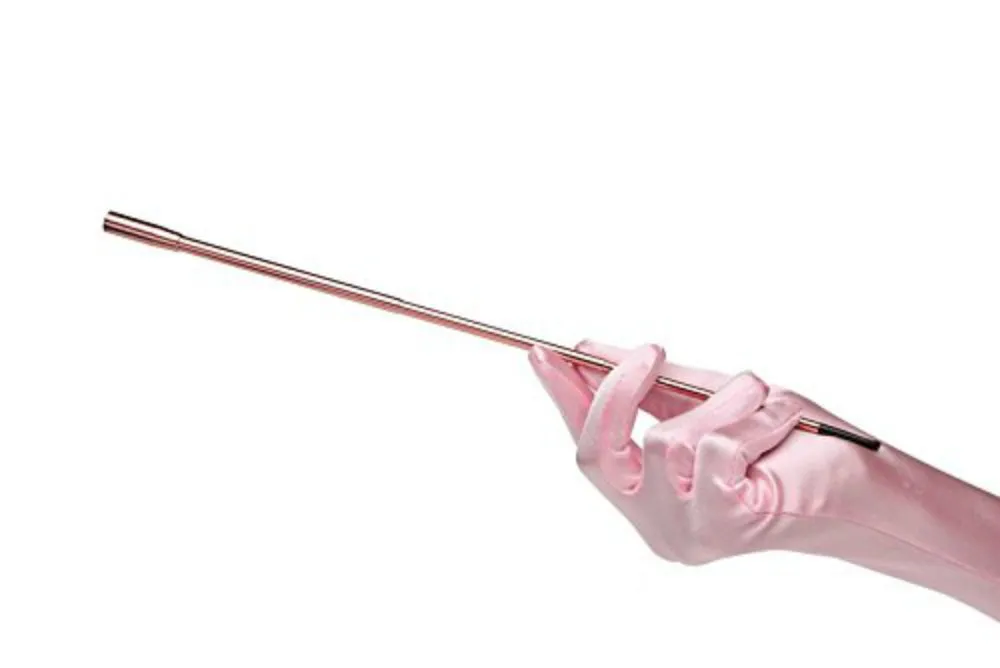 Vixen Accessory Bundle Set Telescopic Cigarette Holder   Long Satin Gloves Audrey Hepburn Inspired